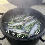 Smoked Trout